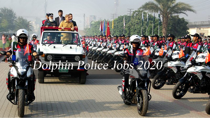 Dolphin Police Jobs